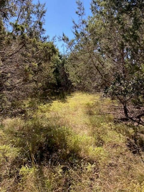 55 York Creek RD