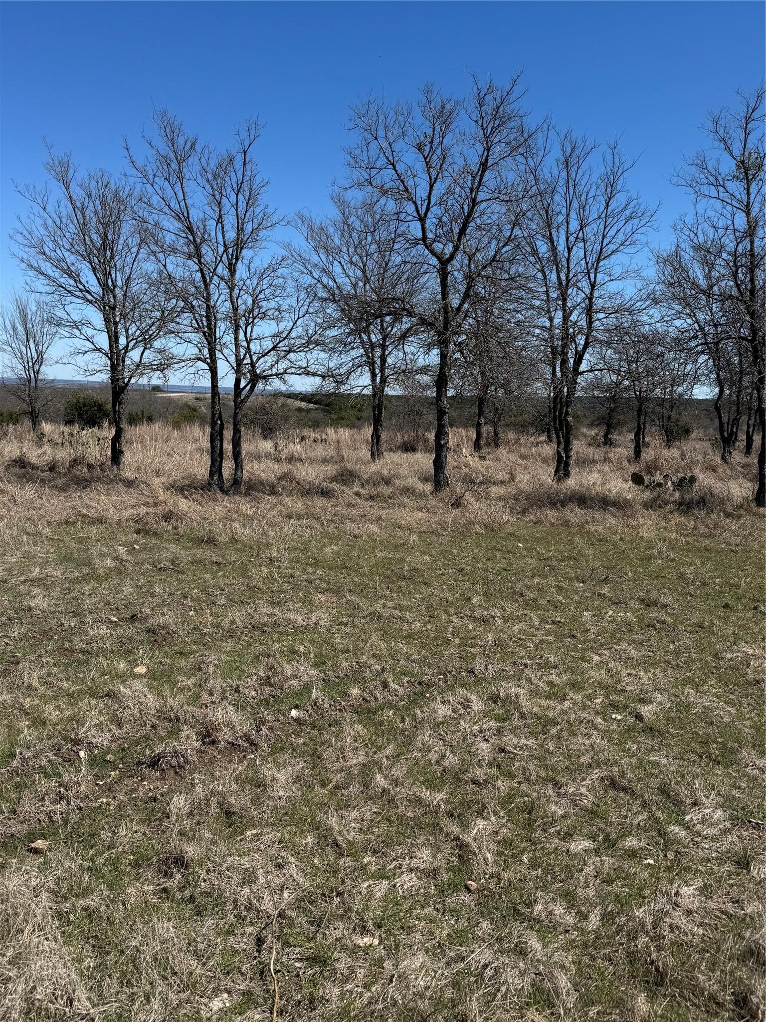 Shooting Star Lot 28 .