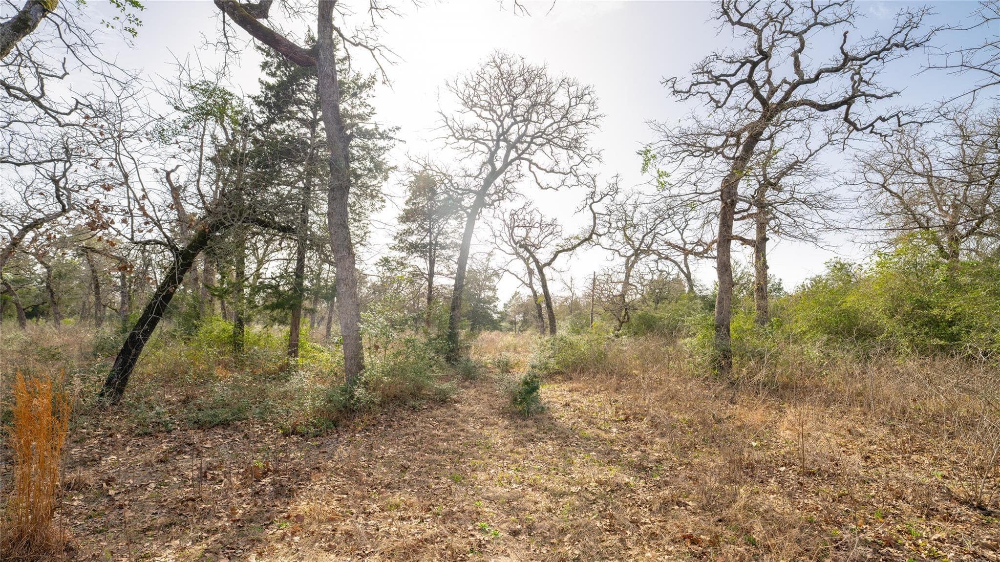 363 Private Road 3745