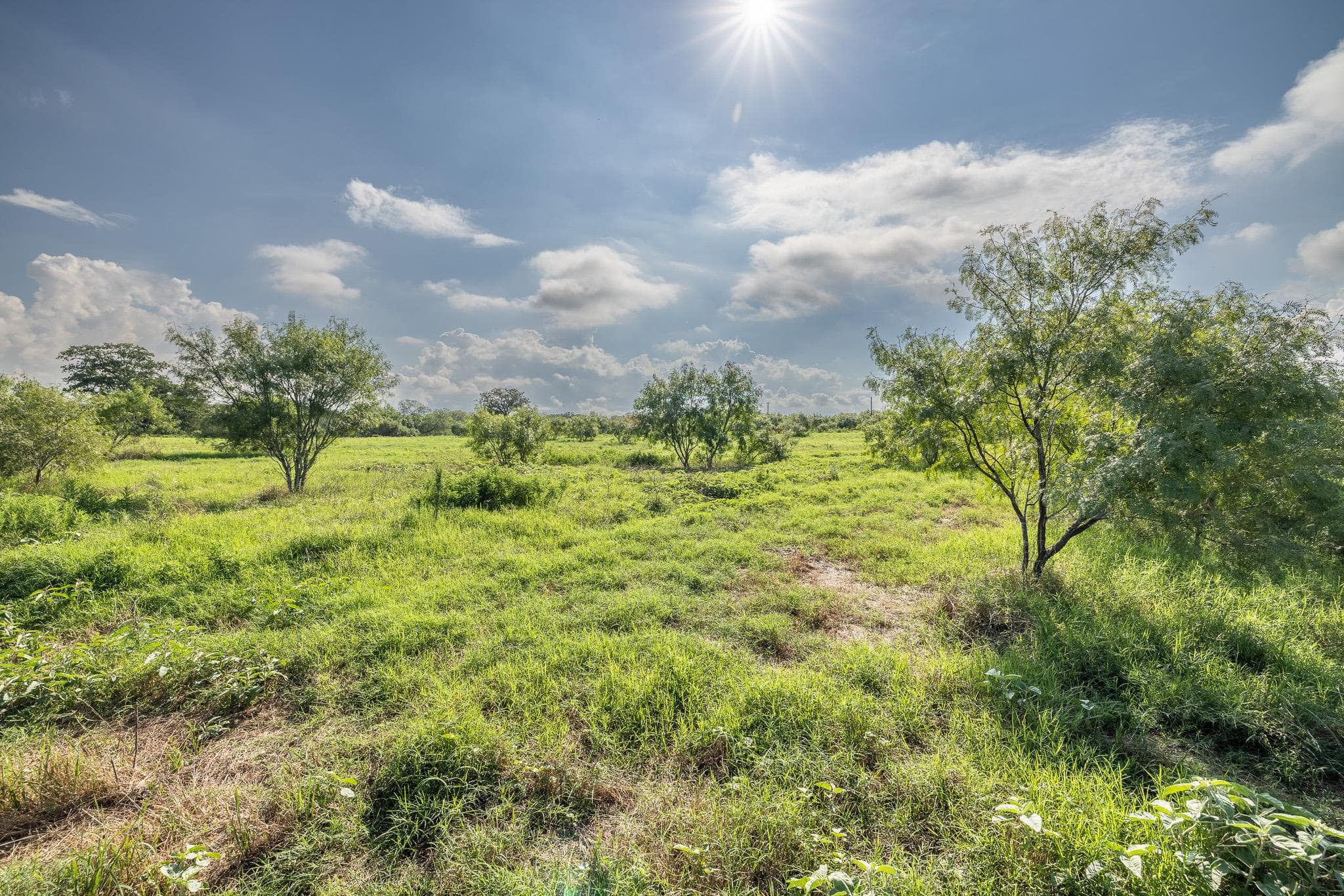 Lot 1-C County Road 491