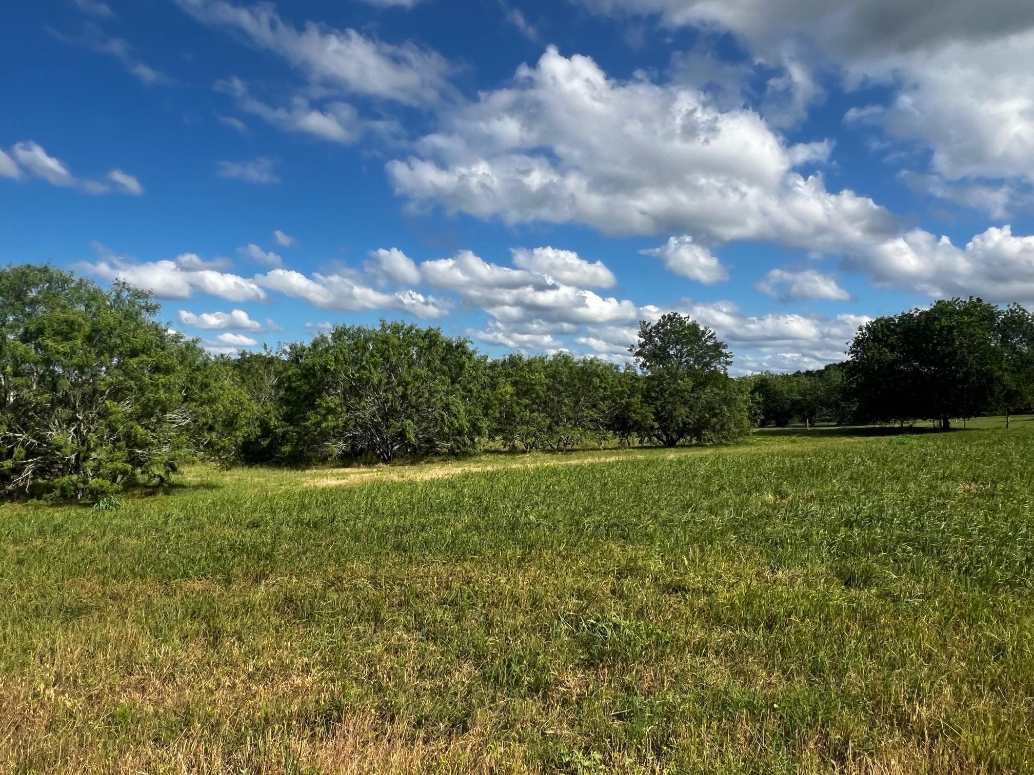 Lot 5 High Meadow Court East