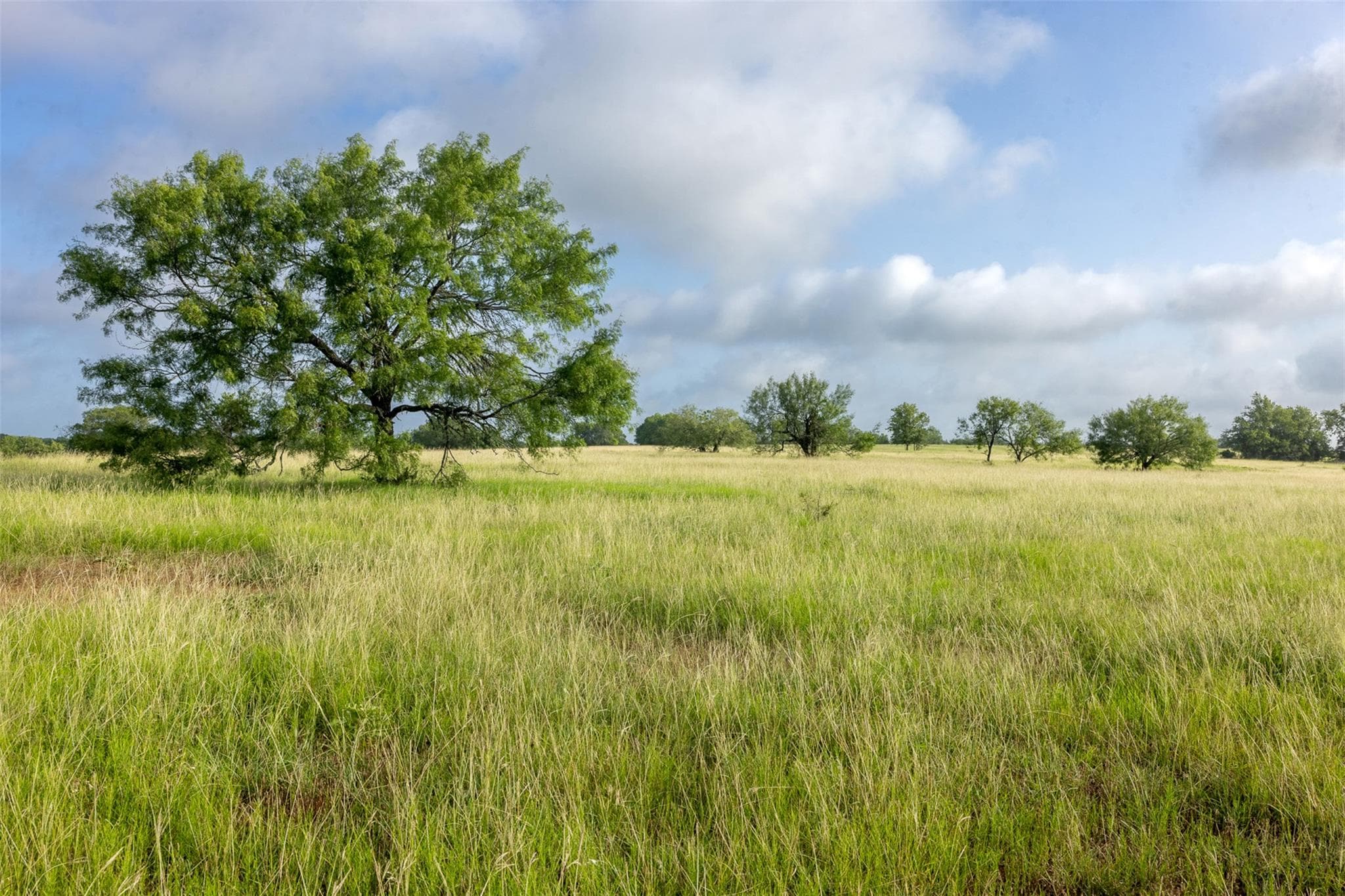 4046 State Highway 21