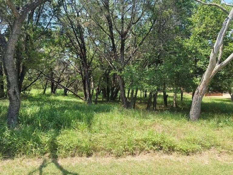 35059 Oak Forest DR
