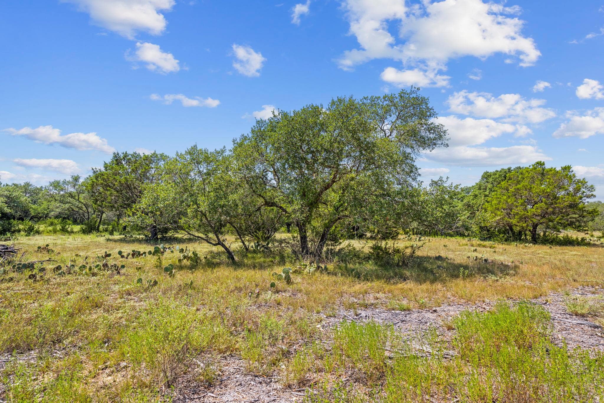 Lot 170 Heartleaf DR