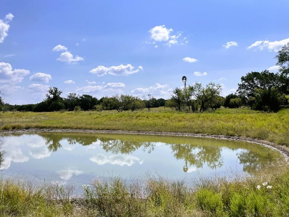 153 Live Oak Mott DR