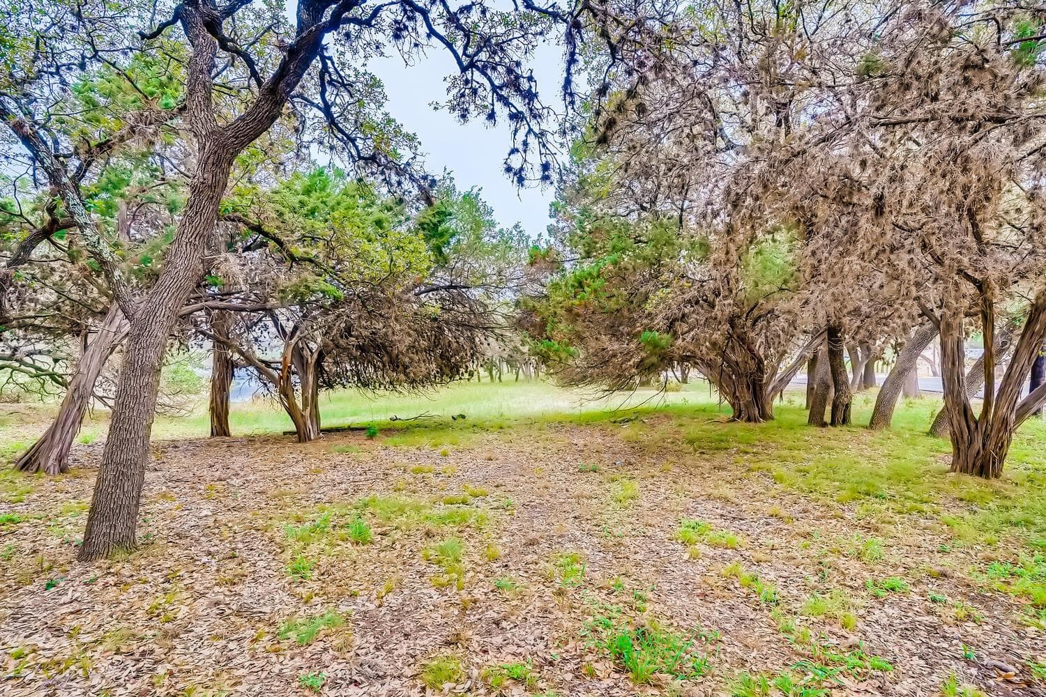 6703 Bar K Ranch