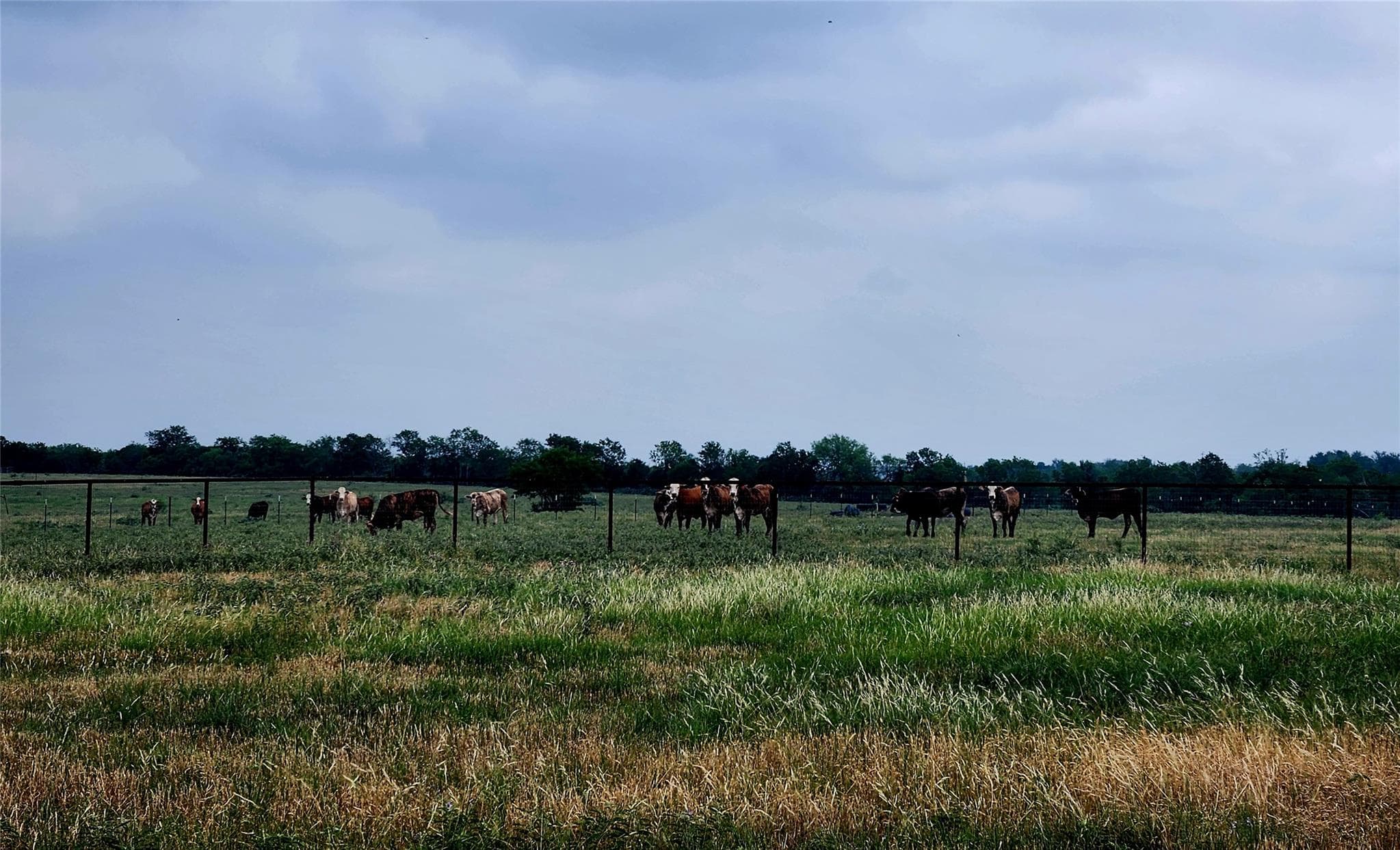 TBD County Road 446