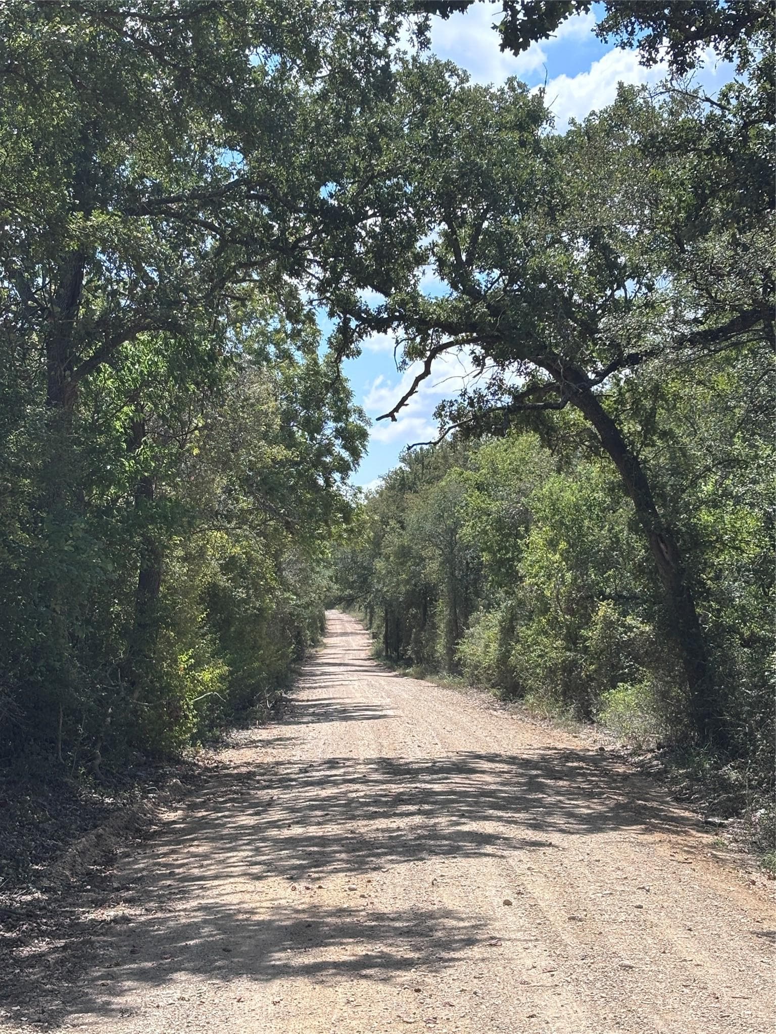 TBD 10.04 AC County Road 413