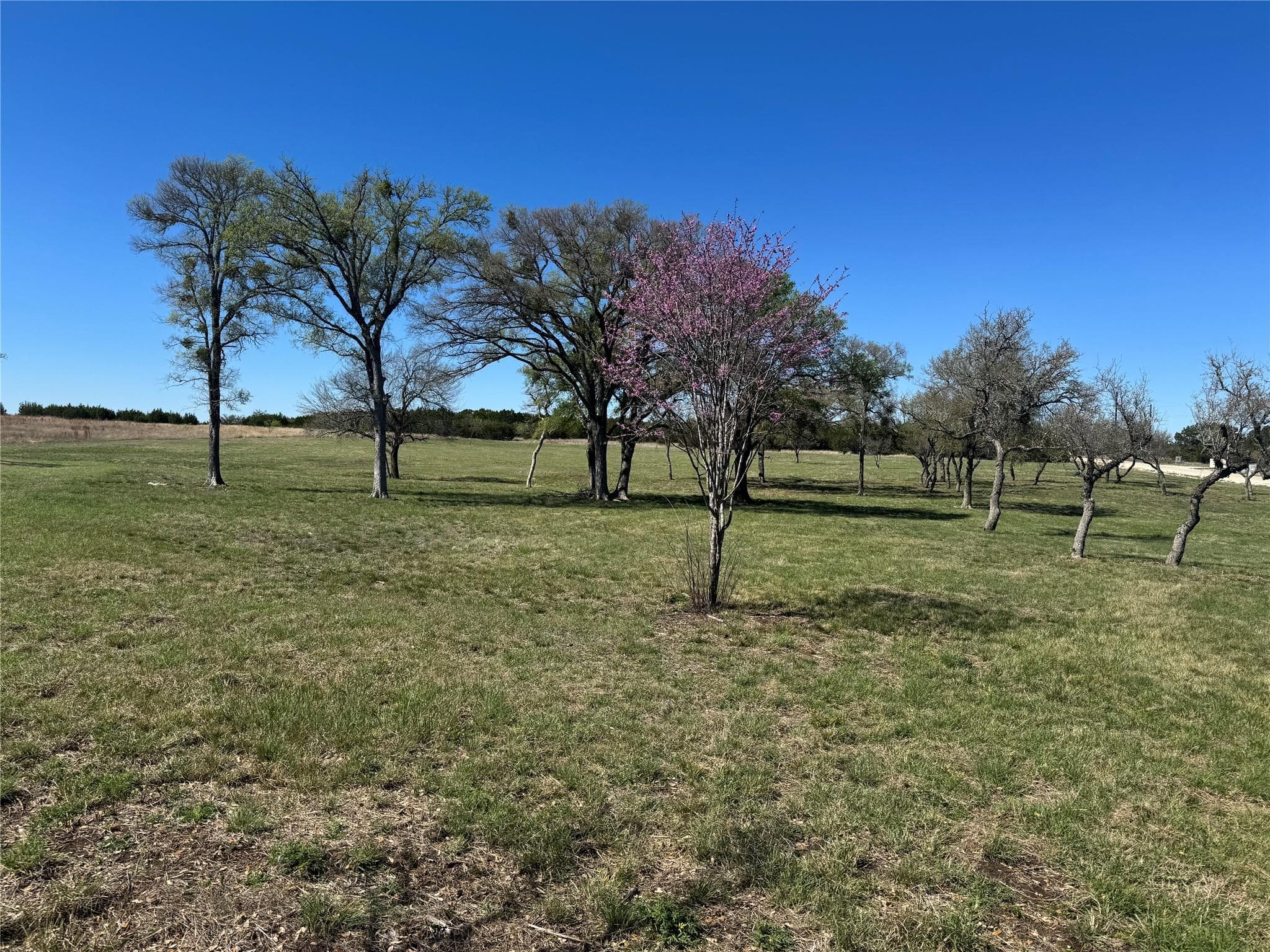 Tract 34 Burnet Oaks DR