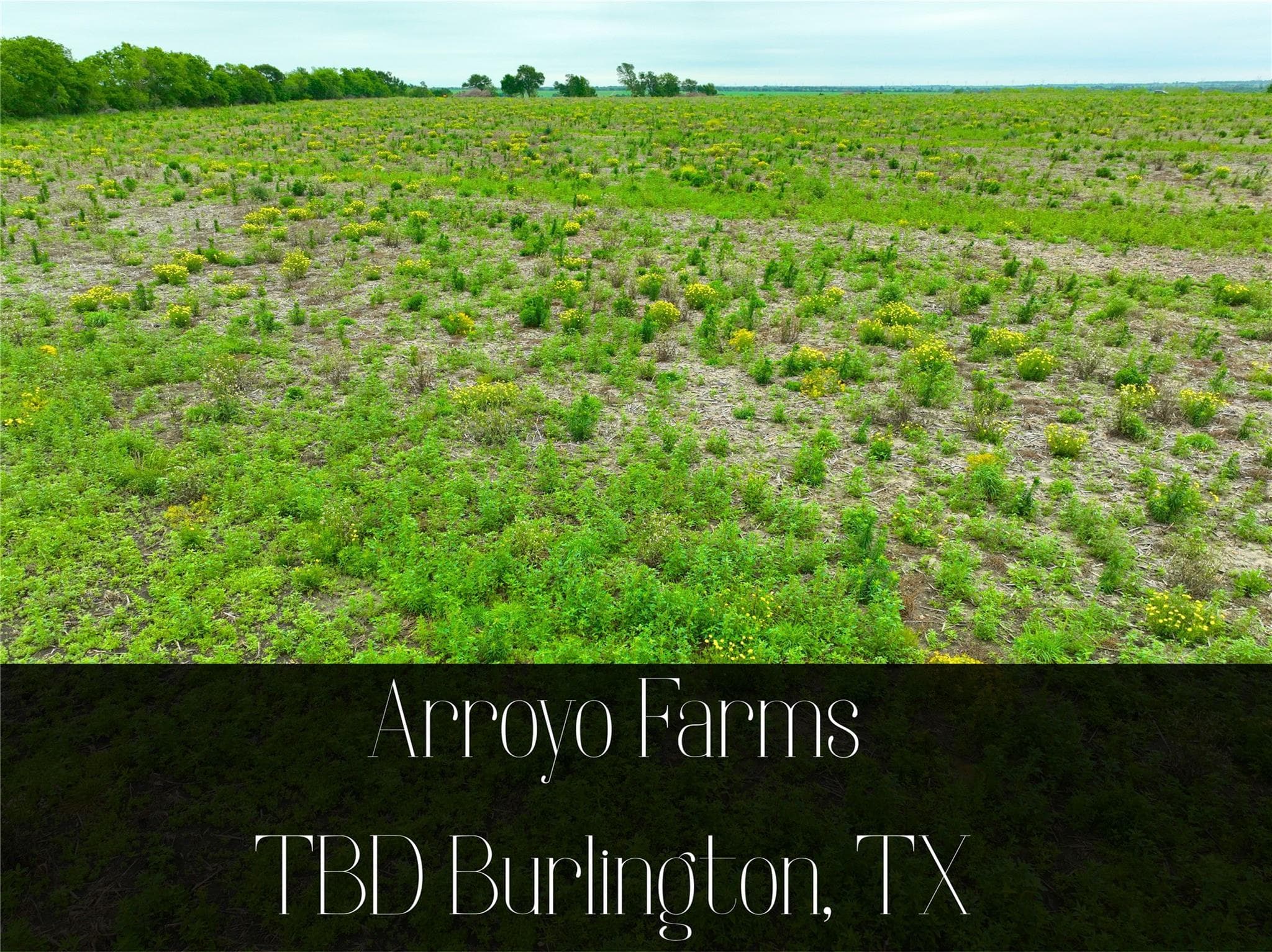 TBD Lot 6, Blk 2 132 RD