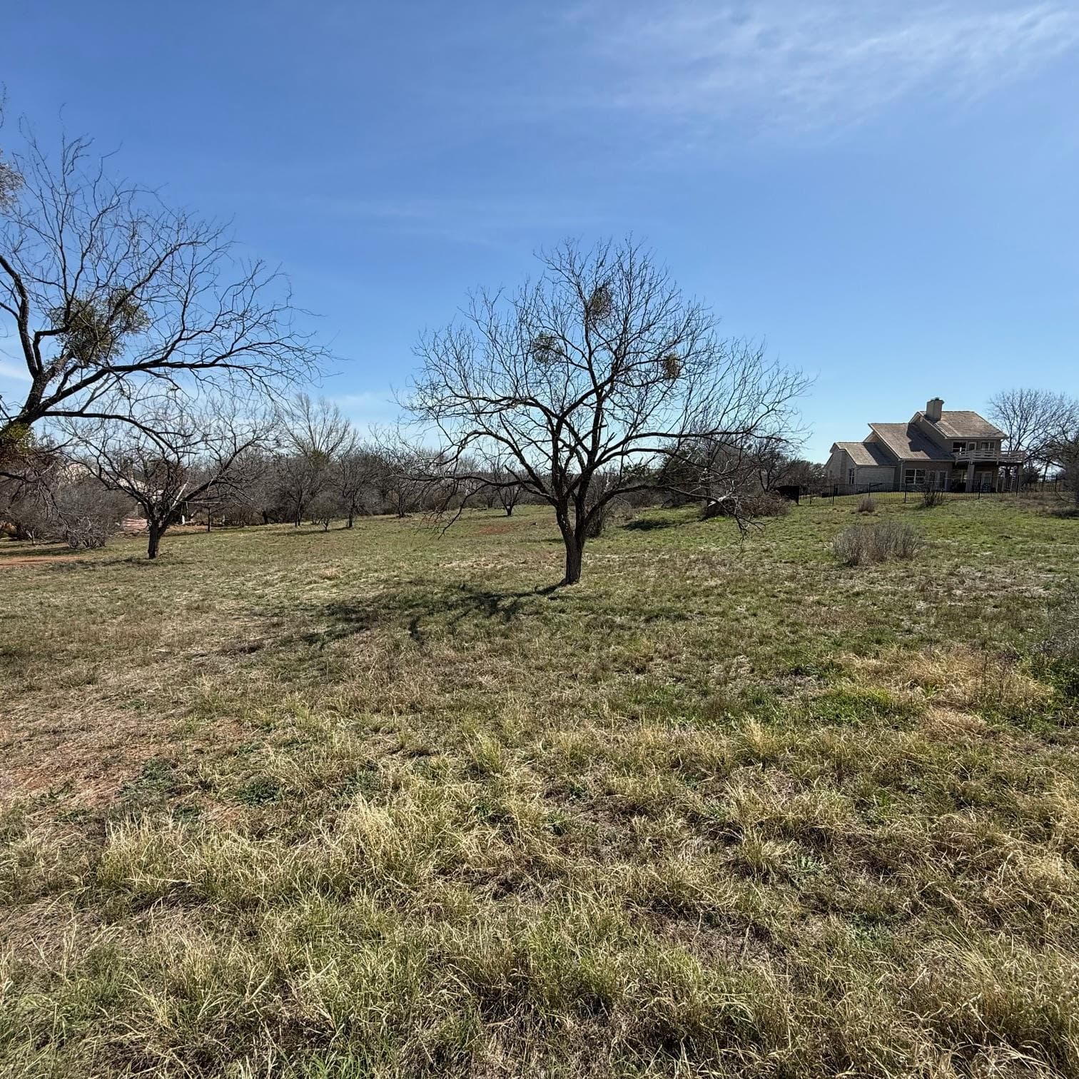 315 Sweetgrass
