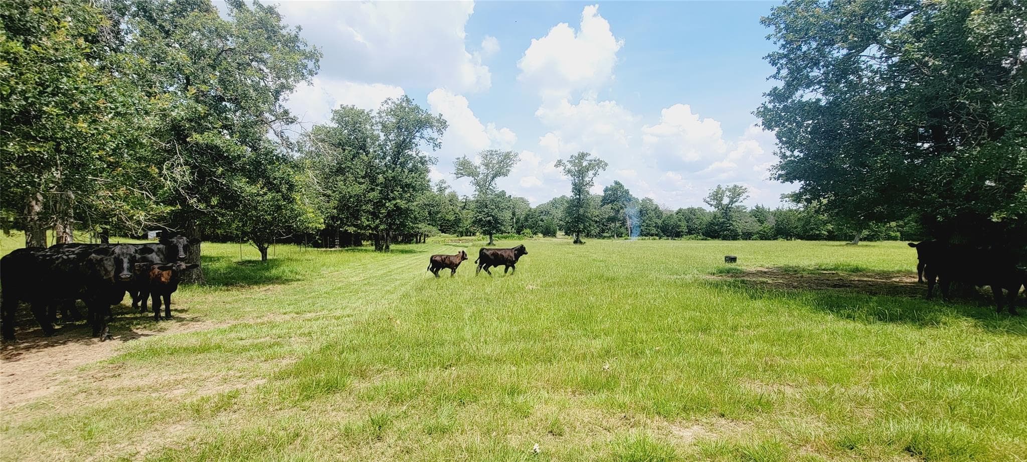 3321 County Road 457