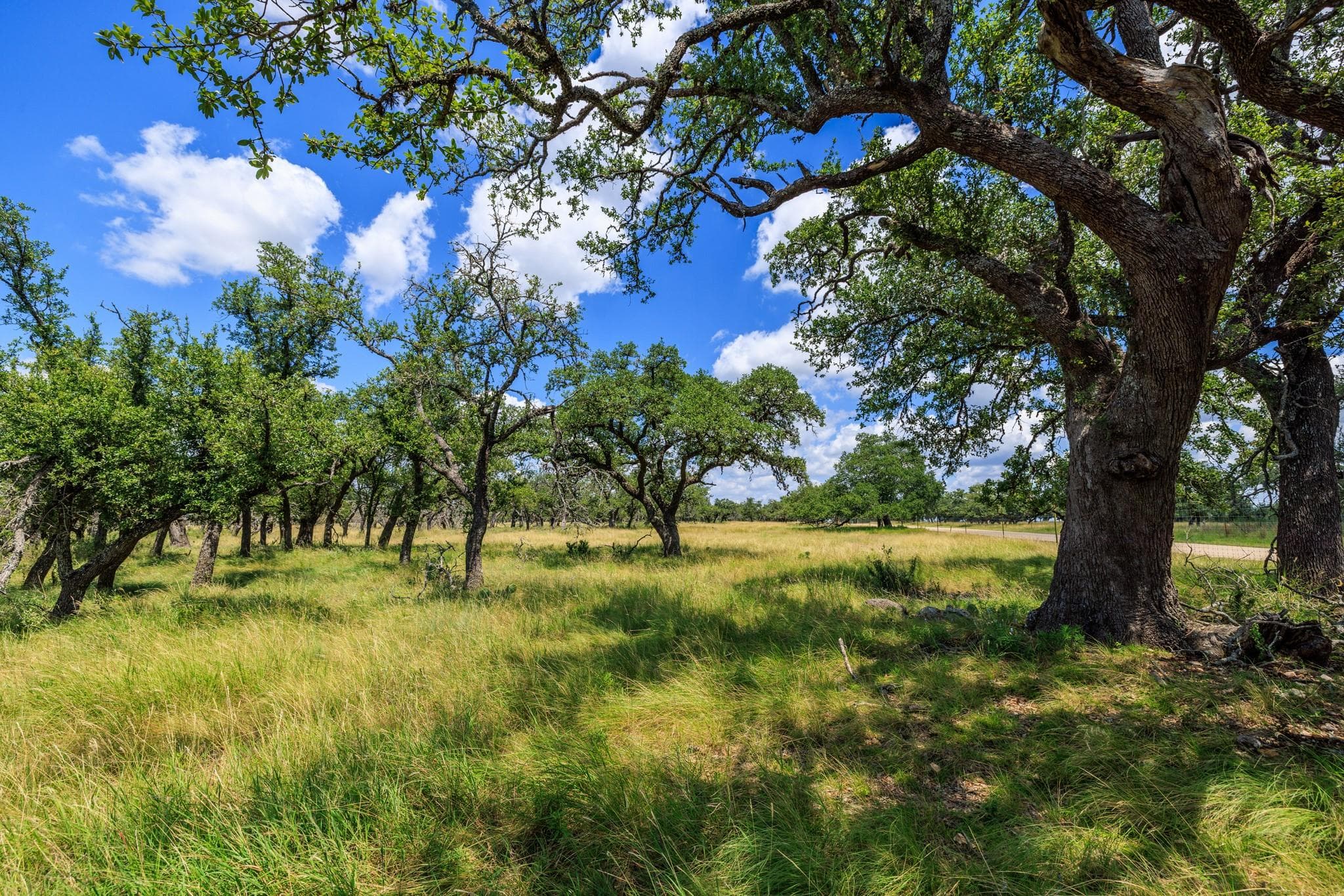 Lot 88 Stock Pond DR