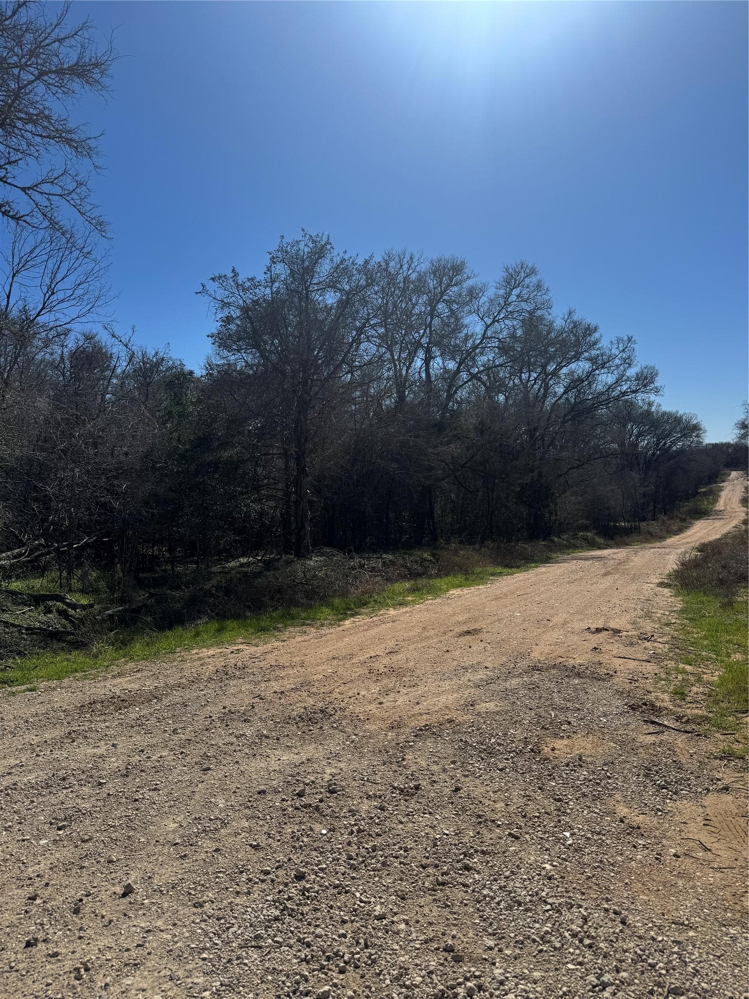 Lot 321 Kolekole LN