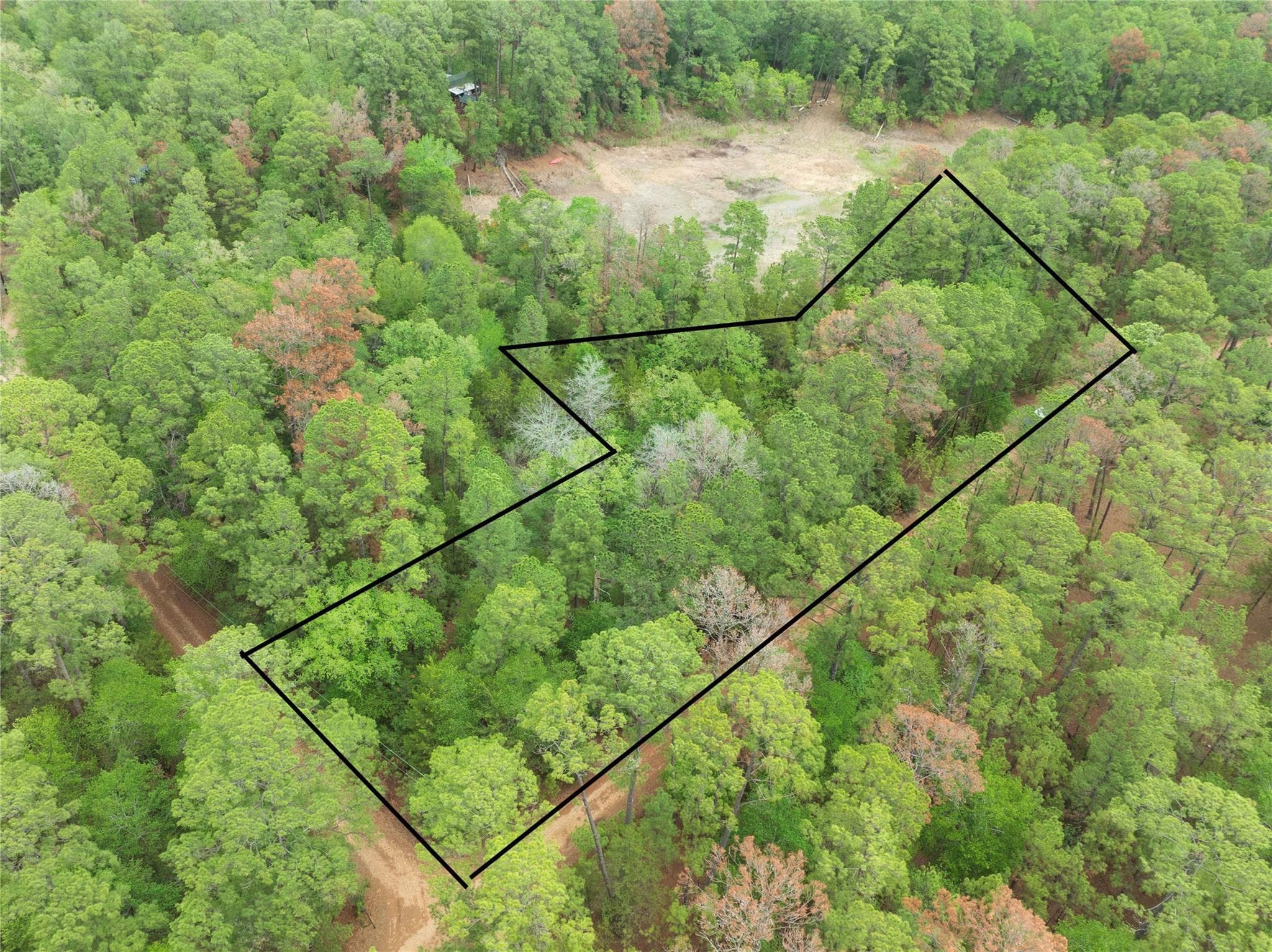 TBD Red Fox RD
