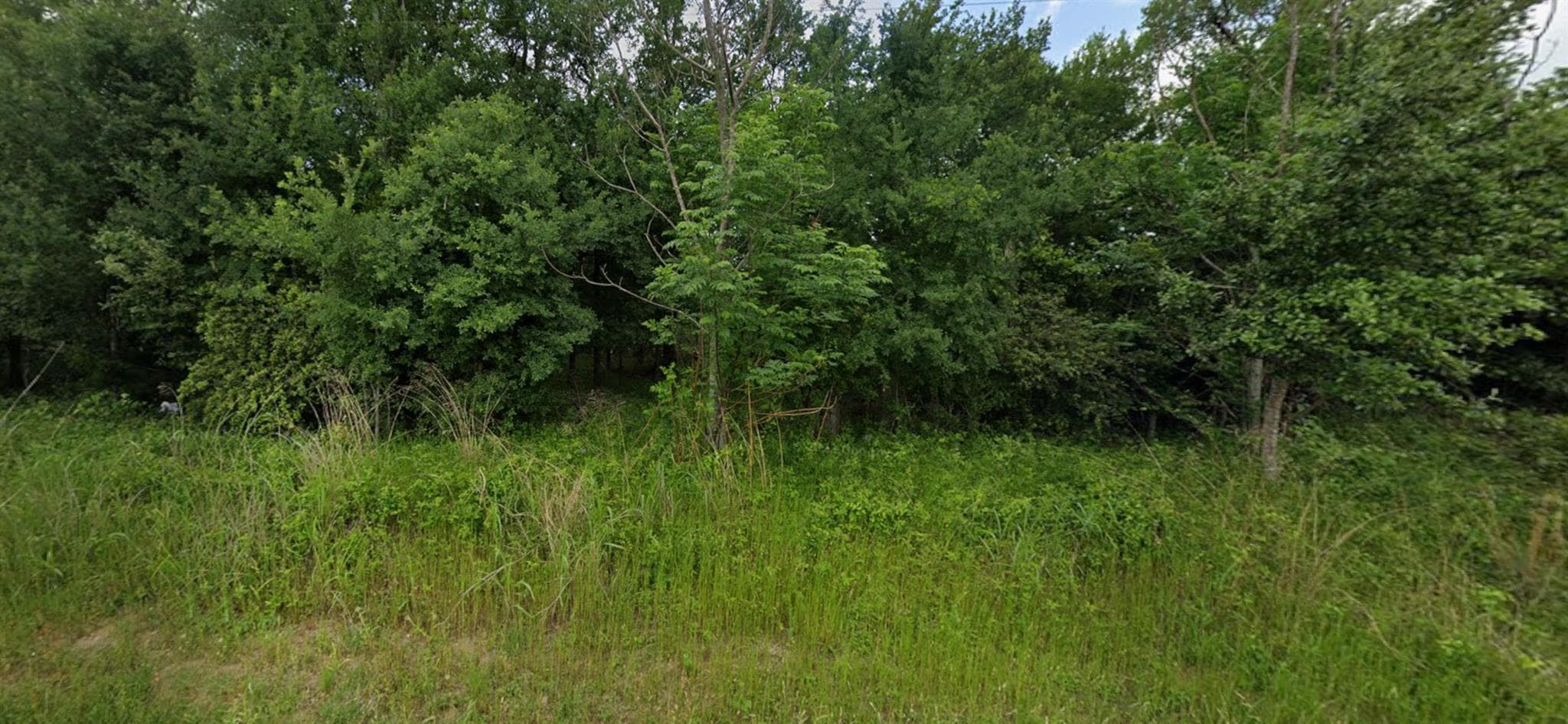 22 Timberforest DR