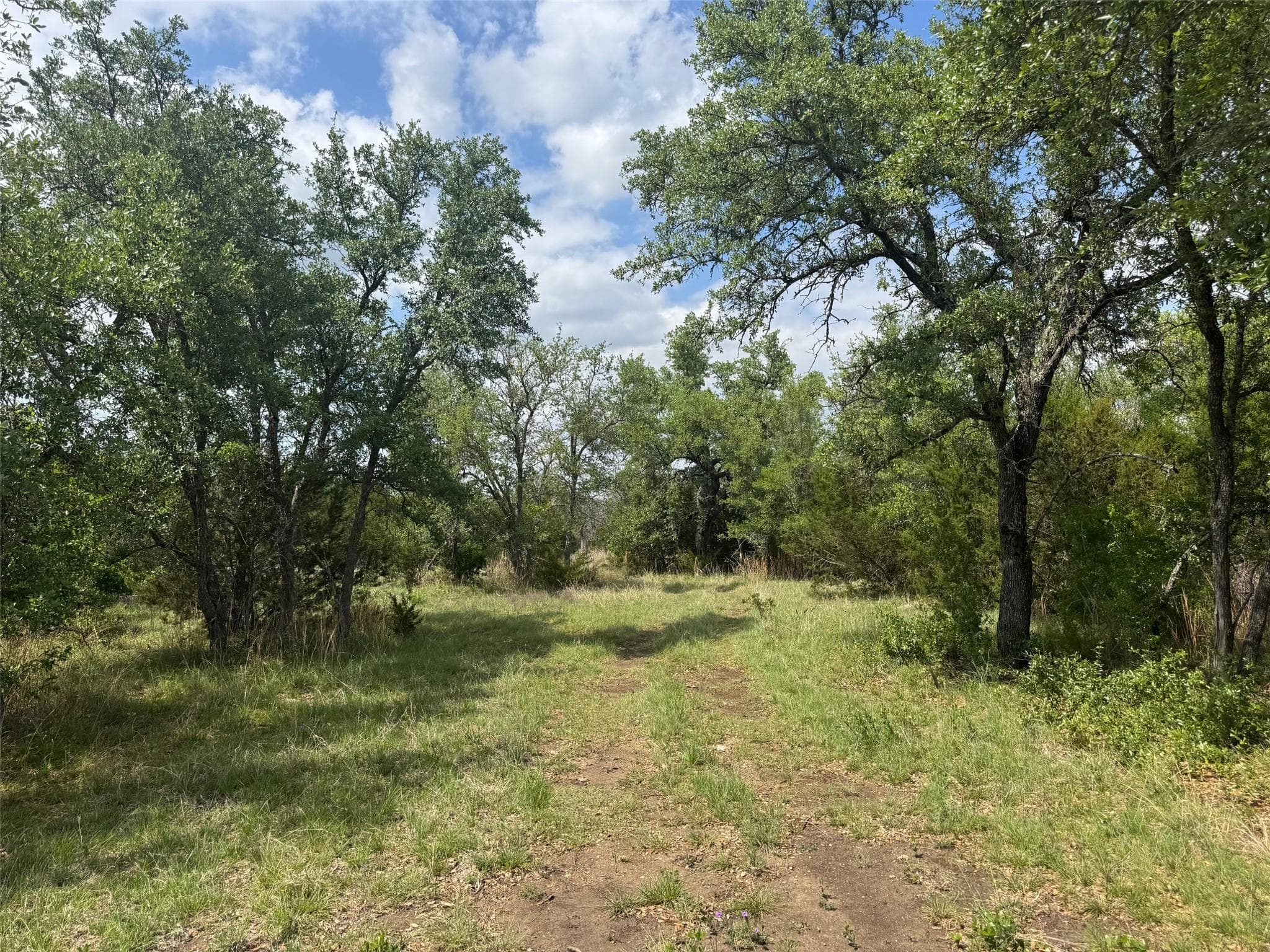 Lot 41 Maverick WAY