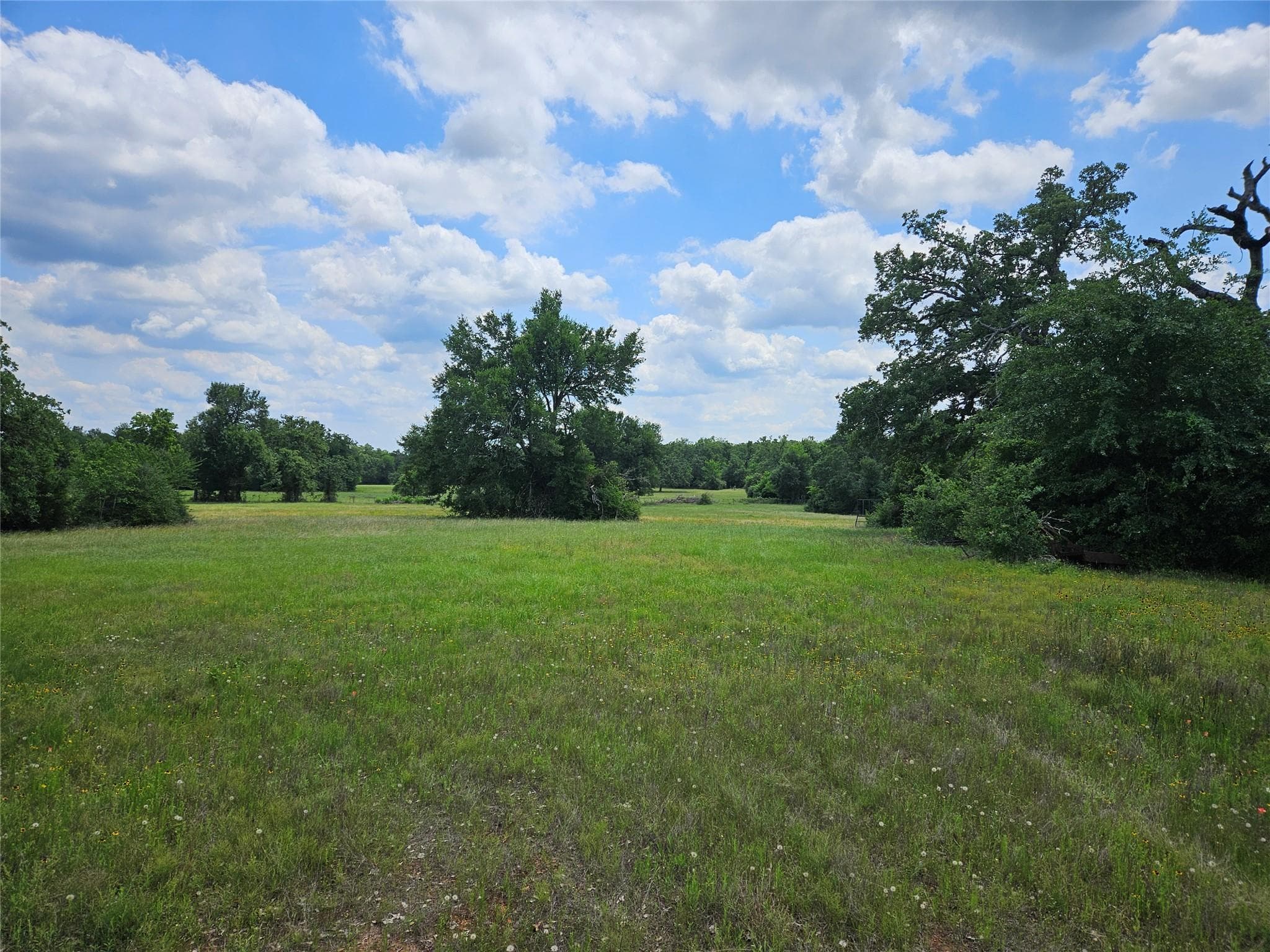 000 TBD CR 346 RD