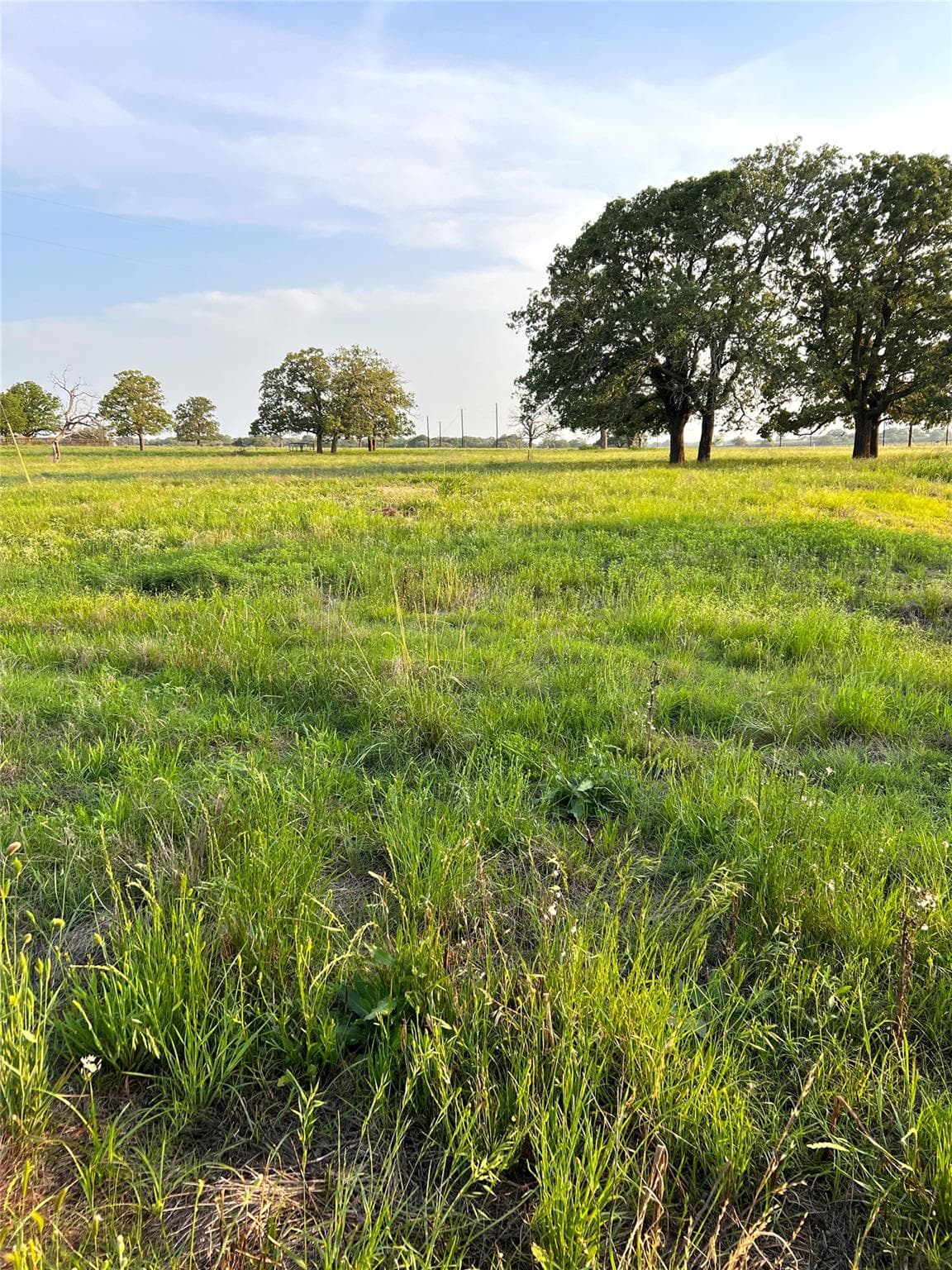 TBD Lot 9 Cardinal RD