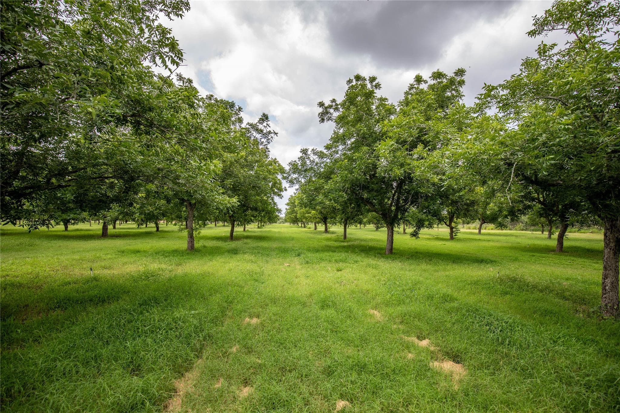 2432 County Road 402 B