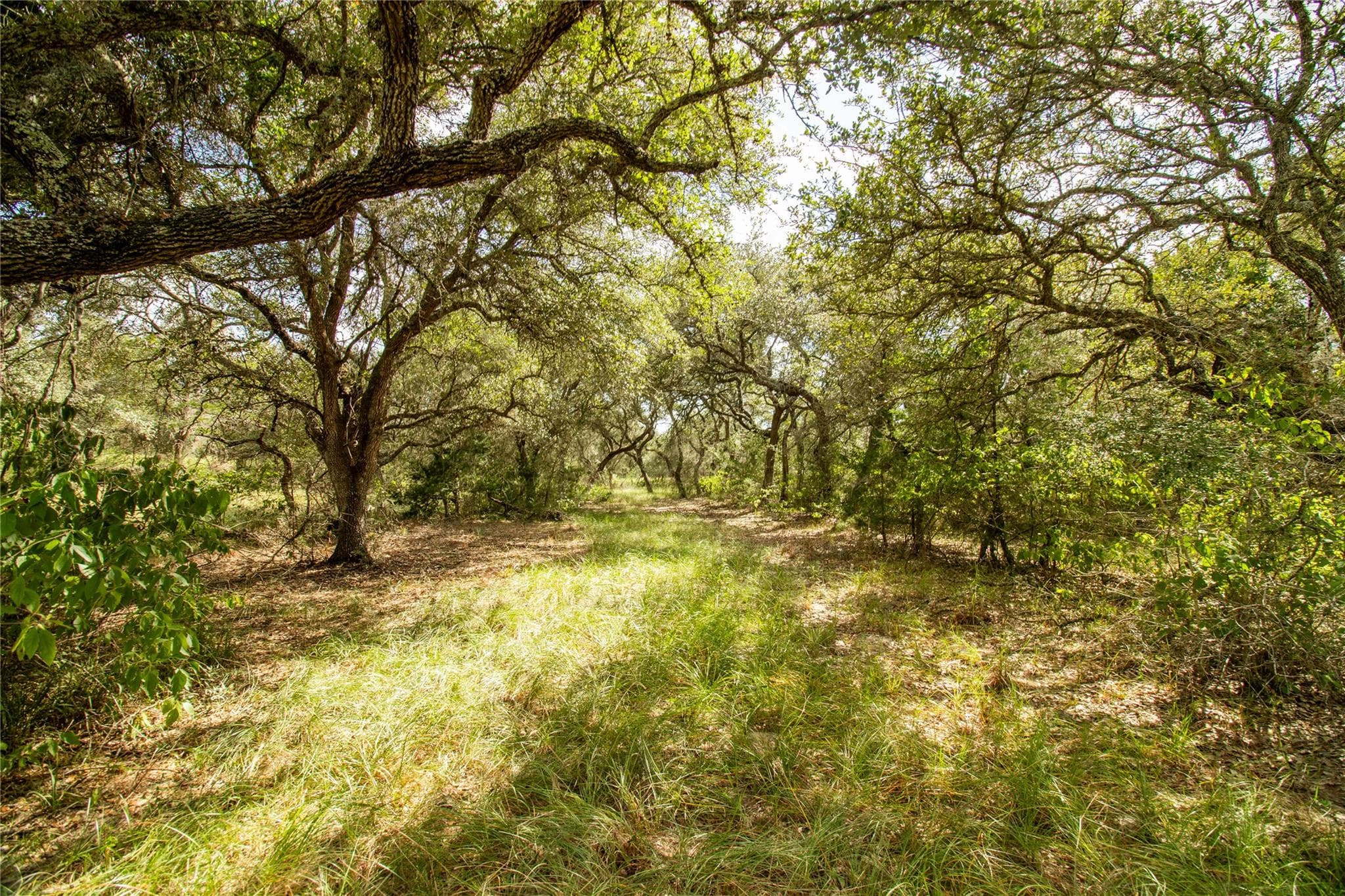000 County Road 15