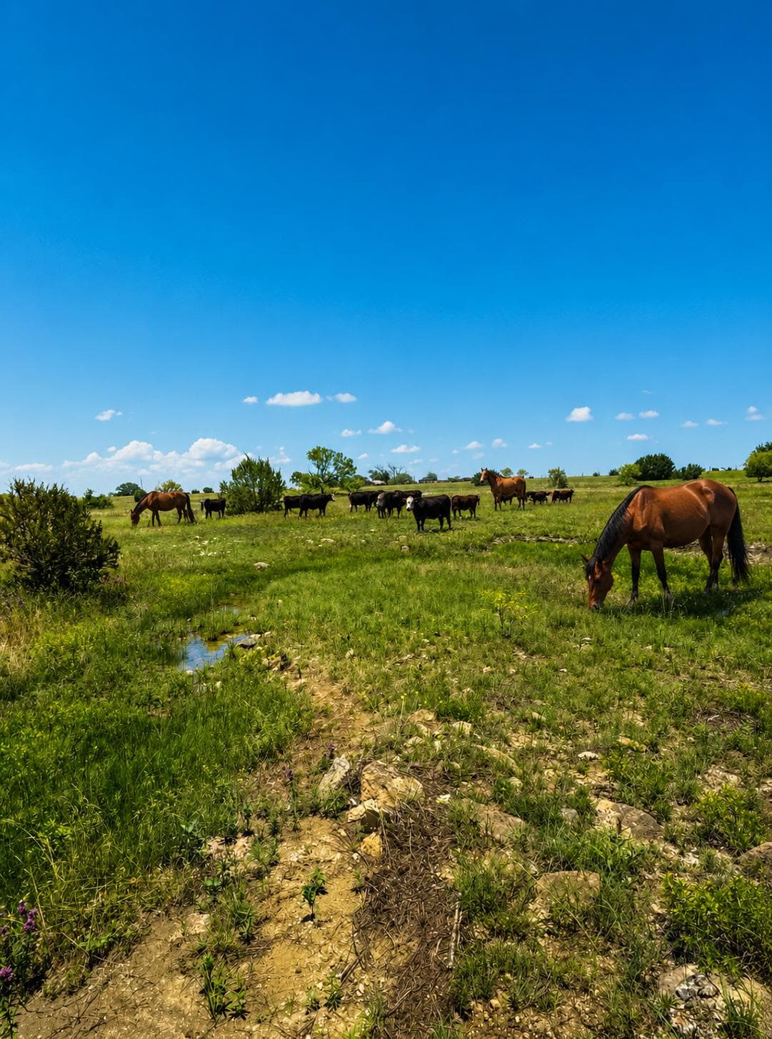 LOT 24 Private RD