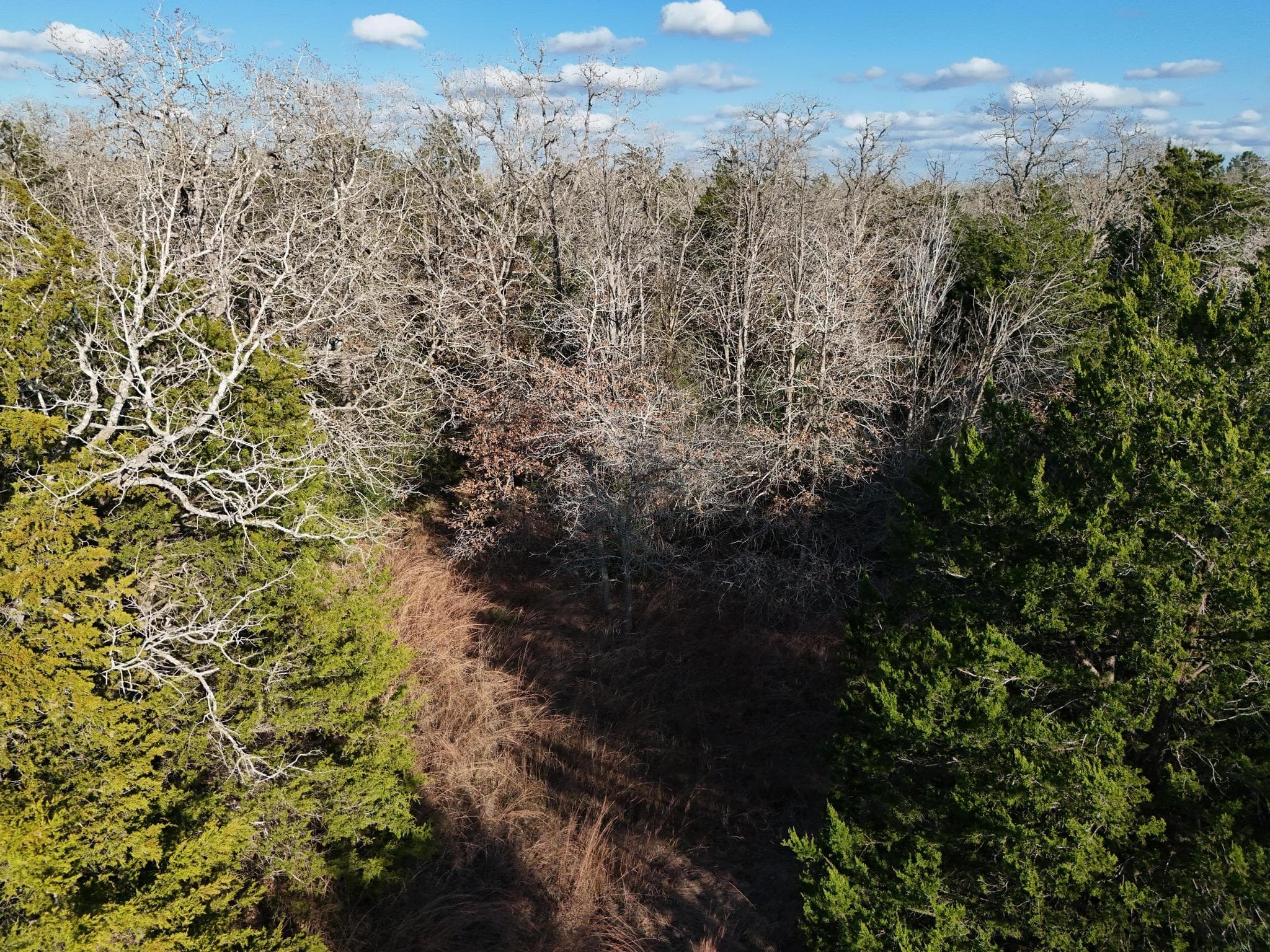Lot 8 South Old Potato RD