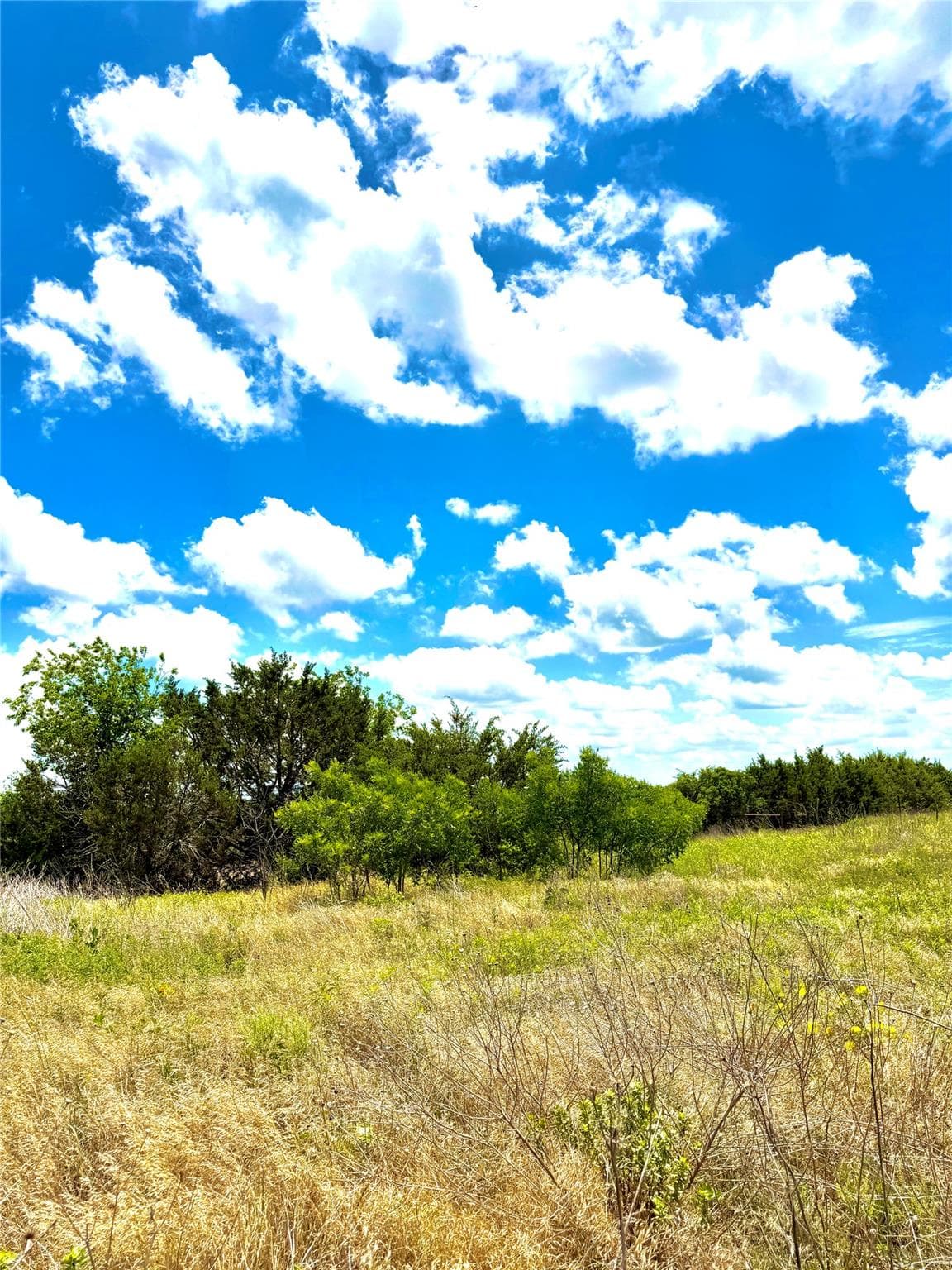 TBD Tract 75 Adobe Hill DR