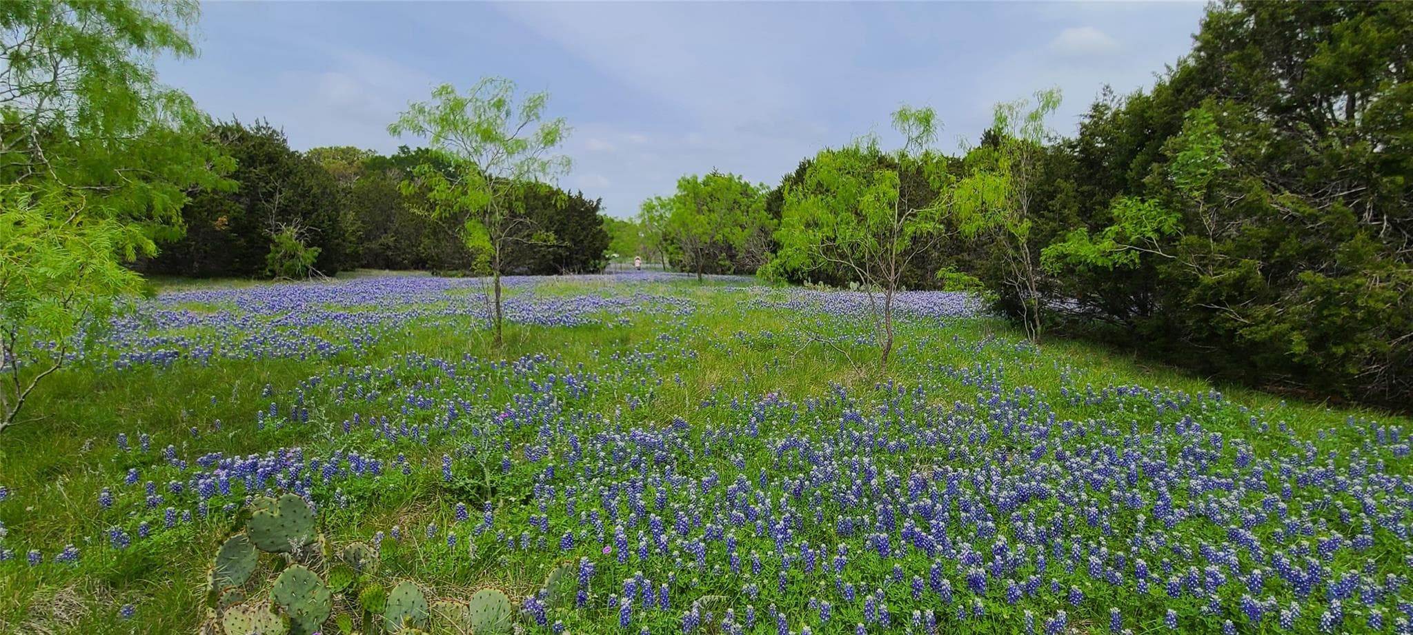 9680 US Highway 190 E