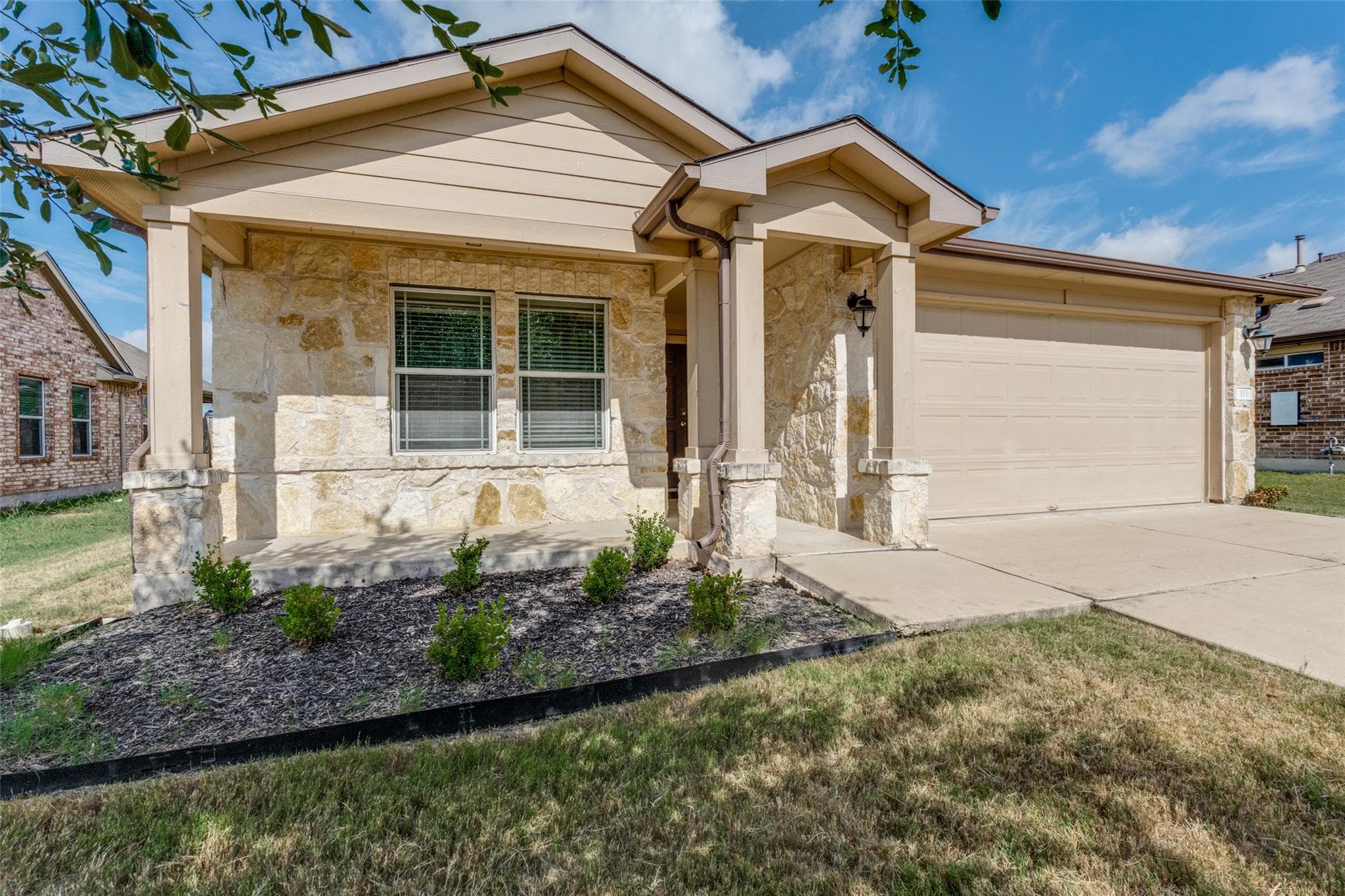 113 Screech Owl DR