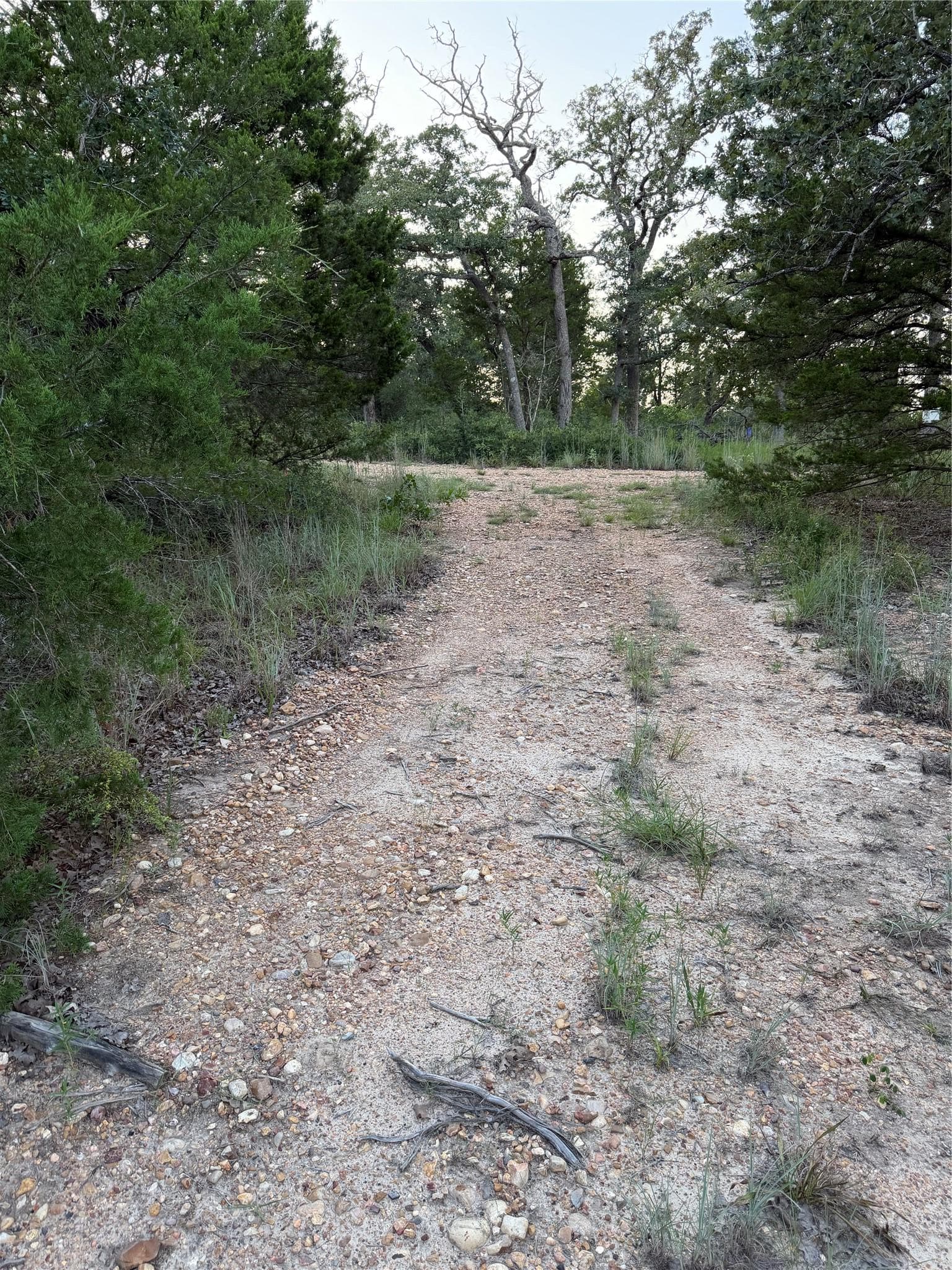 Lot 4 Spruce ST