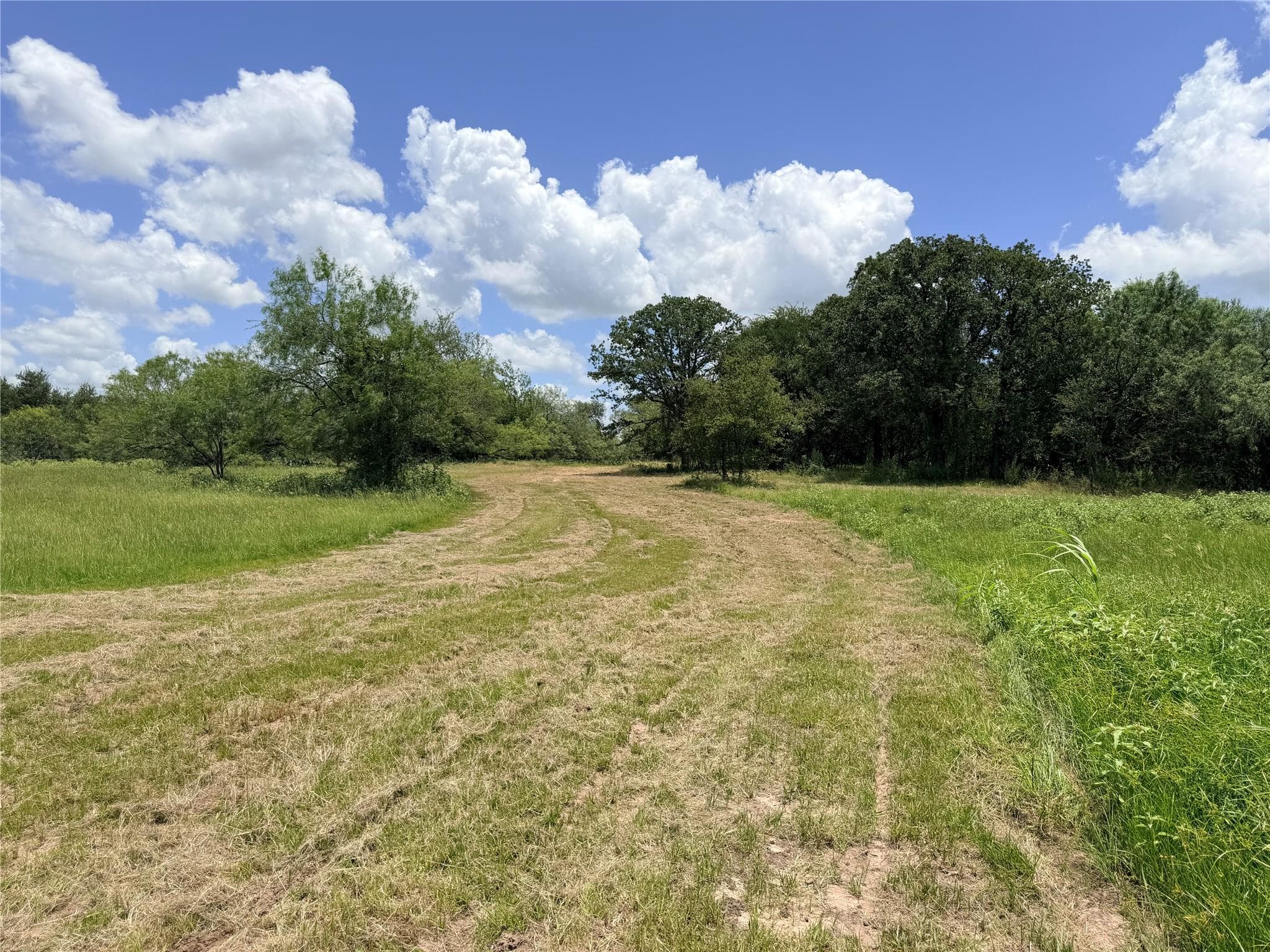 TBD FM 86 Tract 5 Highway
