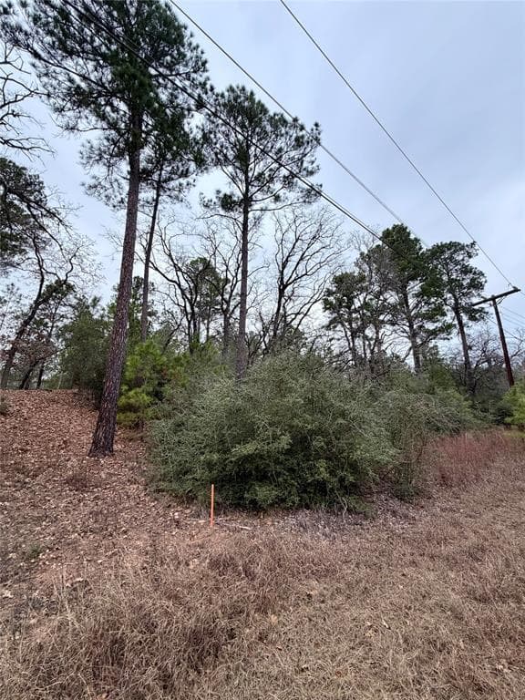 Home in Bastrop