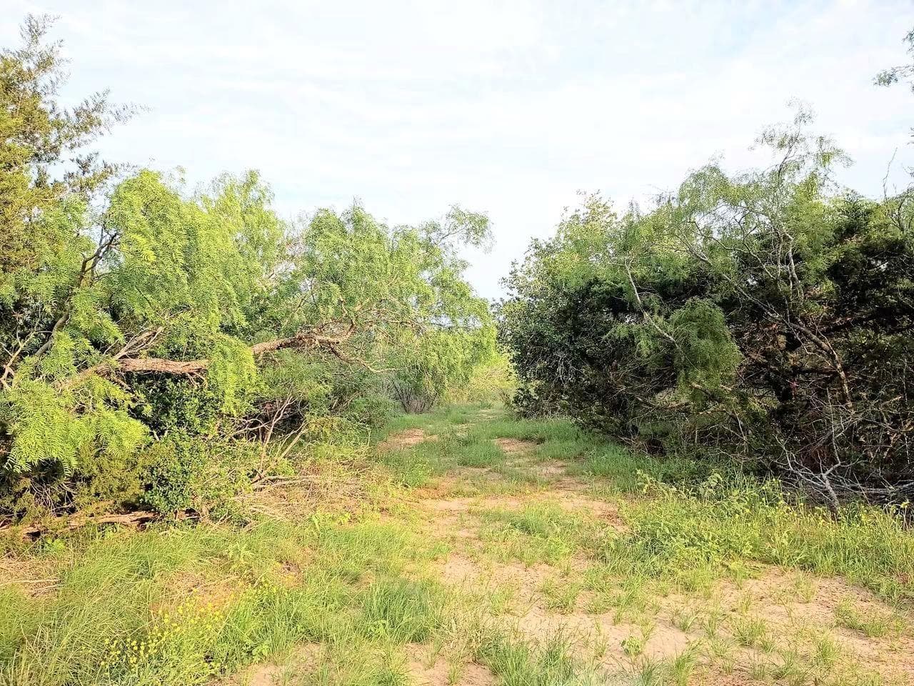 TBD Mesquite RD