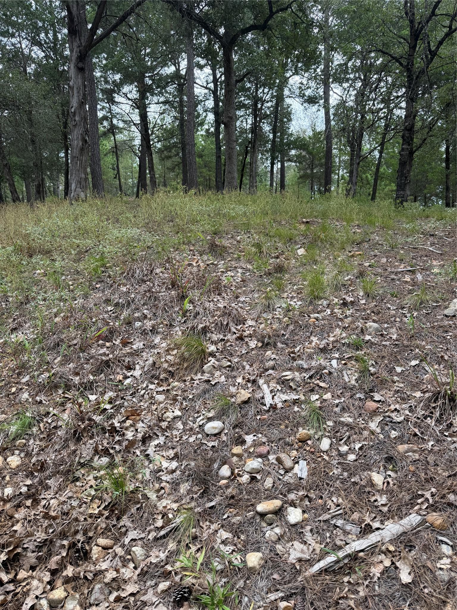 Lot 291 Aka CT