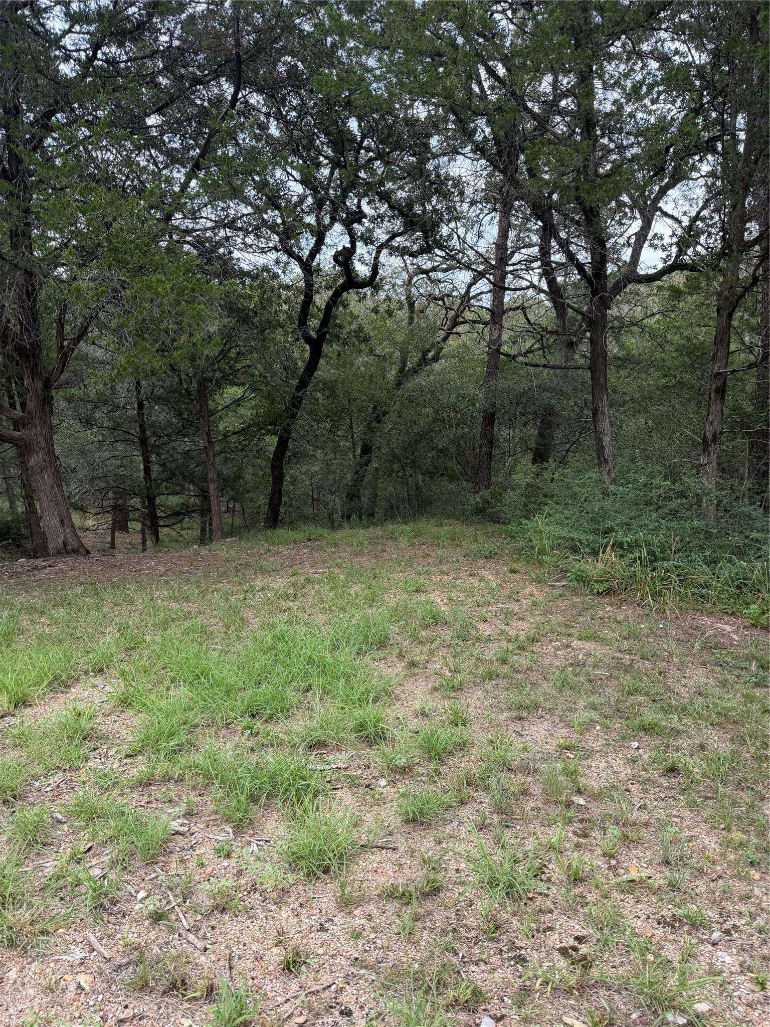 Lot 294 Aka CT