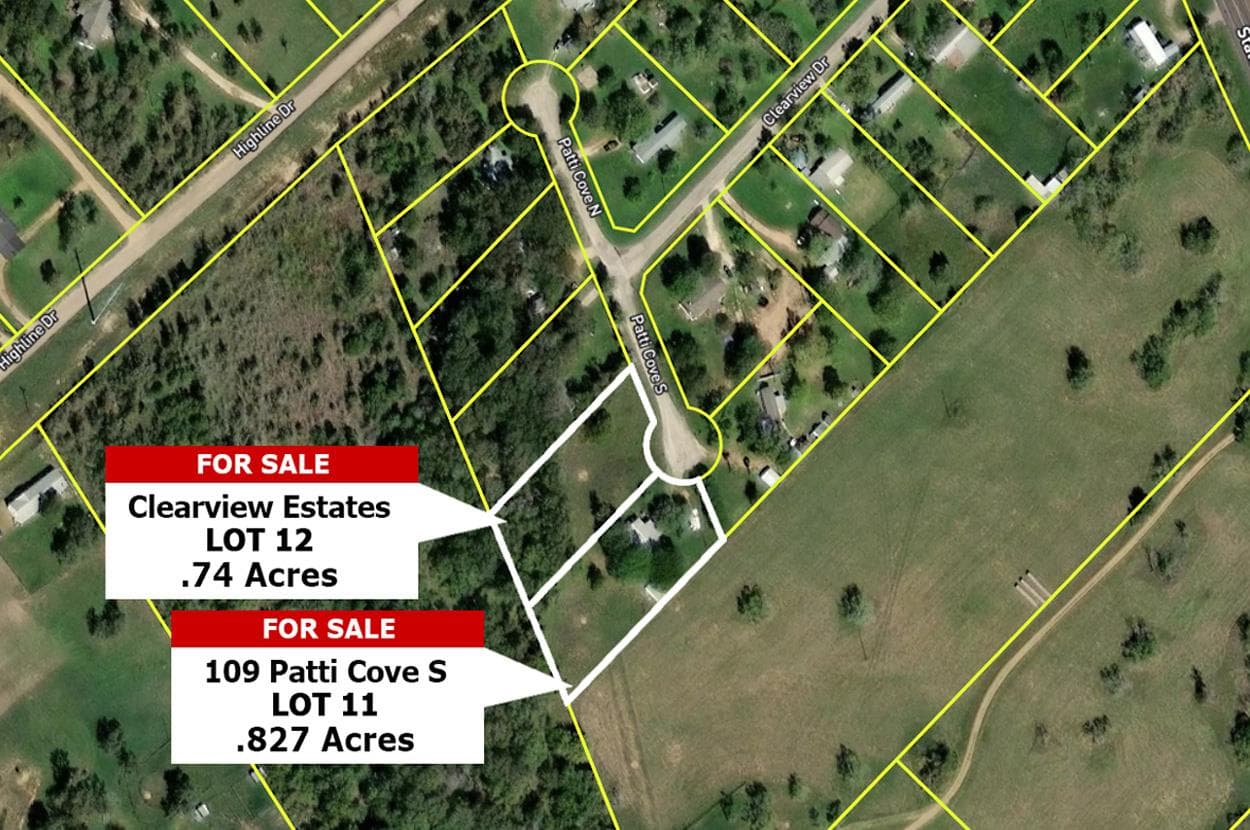 Lot 12 Patti CV