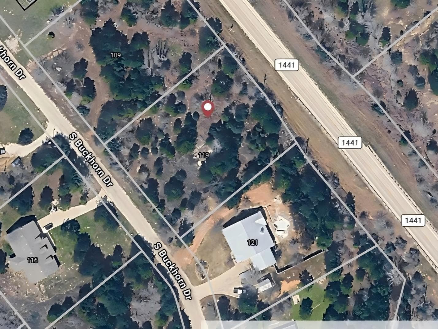 119 Buckhorn DR
